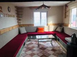 Trabzon Uzungöl dağ evi