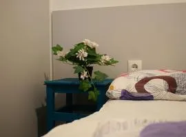 Helikon 31 Apartman Keszthely