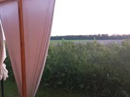 Eco zacisze
