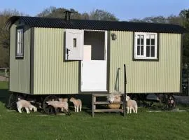 SHEPHERDS HUT