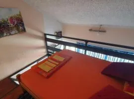 Paulino Rooms