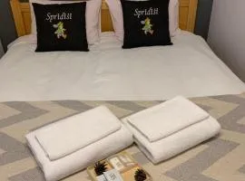 Sprīdīši