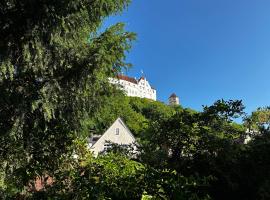 Wohnung in Landshuter Altstadt, pigus viešbutis mieste Landshutas