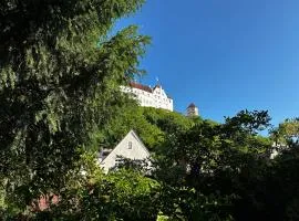 Wohnung in Landshuter Altstadt