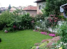 Downtown House with garden