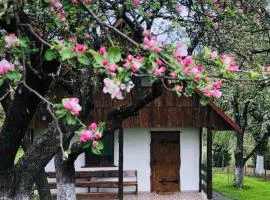 Еко Дім з СОЛОМИ