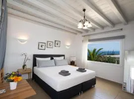 Amar Mykonos