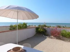 Maisonnette cosy à 20 m de la plage avec animaux admis, wifi et parking - FR-1-194-139