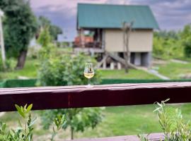 Sava River IN, cabin in Ledine