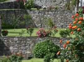 La Rosa al Roseto del Drago