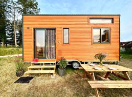 Tiny House et chevaux, farm stay in Le Breuil