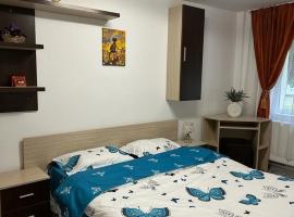 Mara、ファガラシュのホテル