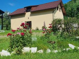 Pensiunea ,,Suciu", hotel in Răchiţele