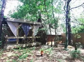 Cabane Spa 40