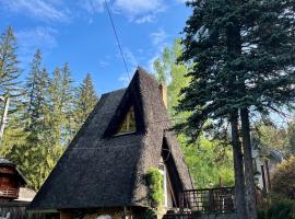 Mountain Getaway Cabin, hotel v destinaci Cheia