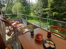 Charmant appartement au pied des pistes