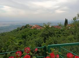 Guesthouse Kiko, hotel in Signagi