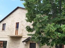 Shen toon guesthouse