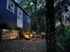 Cornwall Woodland Dog Friendly Shepherd's Hut