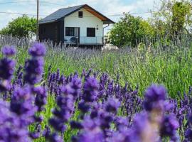 Vacation Home - NEST Kalnik, feriehus i Kalnik