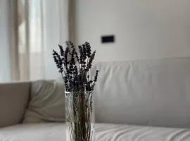Römer Apartment und Zimmer