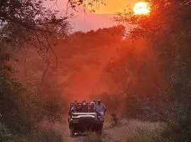 Karongwe Portfolio - Becks Safari Lodge