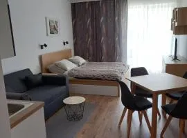 Apartmány VLK
