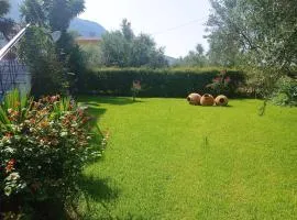 Dimitra's garden