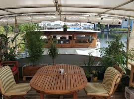 Captain's cabin: Cosy flat on a house boat, bateau à Strasbourg