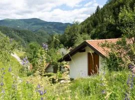 Country house At Peskar`s