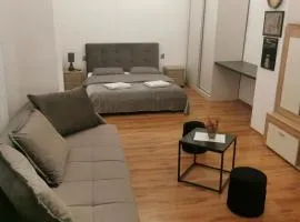 Central Designer Flat
