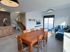 Unique Penthouse in Center of Haifa