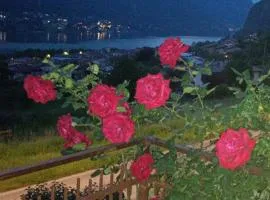 B&B le rose