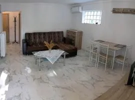 Anchorage Apartment in Rachoni