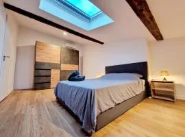 Appart douillet hypercentre neuf climatisé