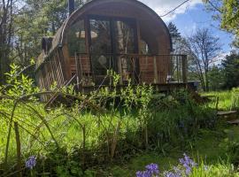 Caban Delor. Off-grid glamping experience. Walking distance into Caernarfon. 20-min drive to Snowdonia or Anglesey.，卡納芬的豪華露營地點