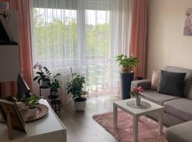 Sóstó Forest Apartman, hôtel à Nyíregyháza
