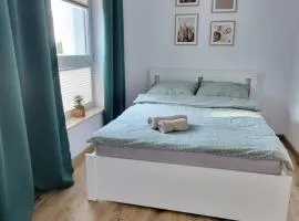 Apartament 6