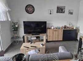 Bel appartement centre-ville Ondres - Landes