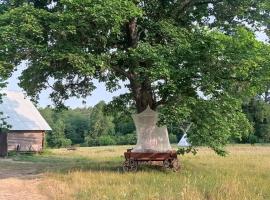 Inn Kunai, casa de campo em Anykščiai