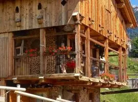 Chalet-Tabià al Sol montagna Dolomiti Pecol