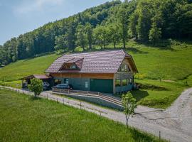 Ranch Stojnšek House With Sauna - Happy Rentals, hotel v Rogaški Slatini