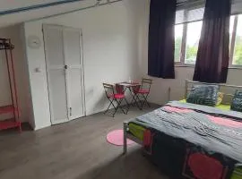 spacious room with free parking