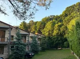 Tsaghkadzor Family Villa