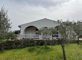 La casa nell'oliveto, budgethotell i Berchidda