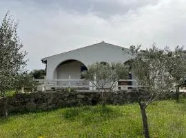 La casa nell'oliveto