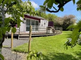 Purple CargoPod at Lee Wick Farm Cottages & Glamping