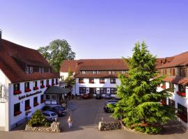 Hotel Gerbe: Friedrichshafen'da bir otel