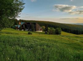 Hotel Tetřeví Boudy, hotel v destinaci Pec pod Sněžkou