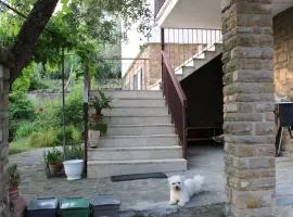BELLA VISTA BOLOGNESE